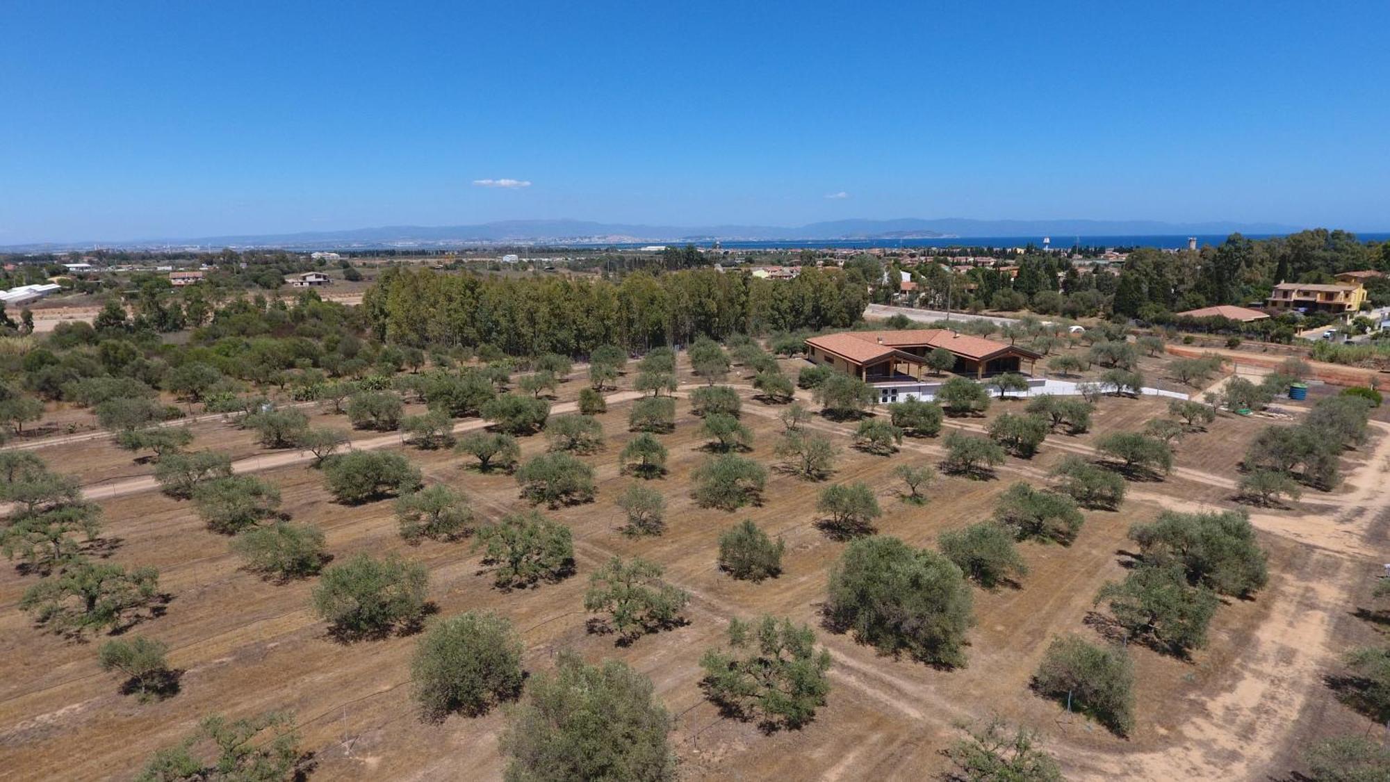 קאפוטרה Agriturismo Corte Degli Ulivi מראה חיצוני תמונה